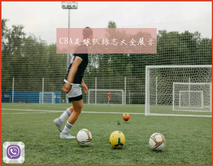 CBA足球队标志大全展示