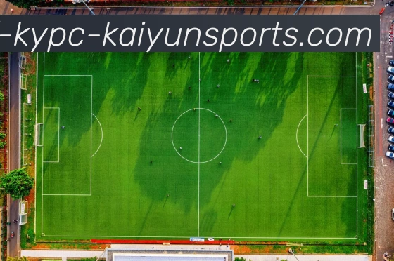 开云体育平台生态图