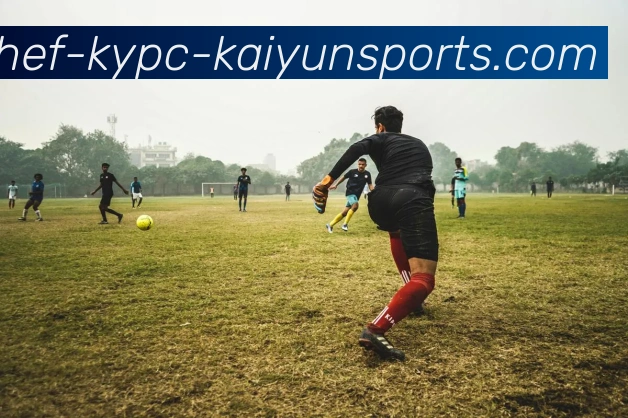 开云体育全站App